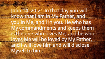 John 14:21 John 14:21
